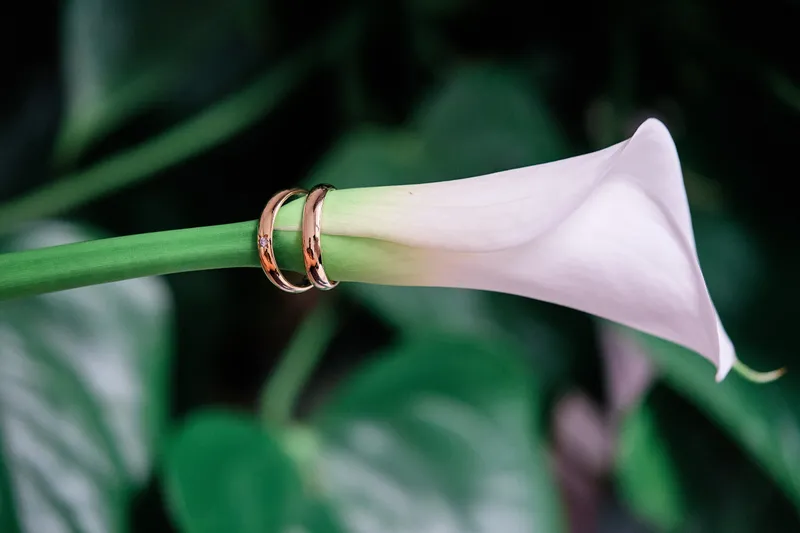 Twee trouwringen om de steel van een calla