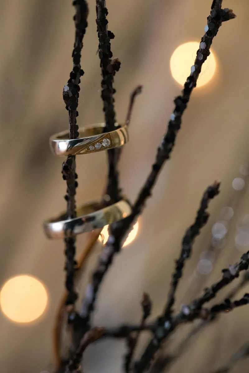 De trouwringen aan een takje, met lichtjes op de achtergrond