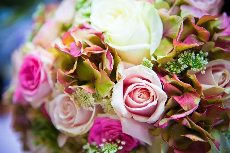 Het boeket met roze rozen