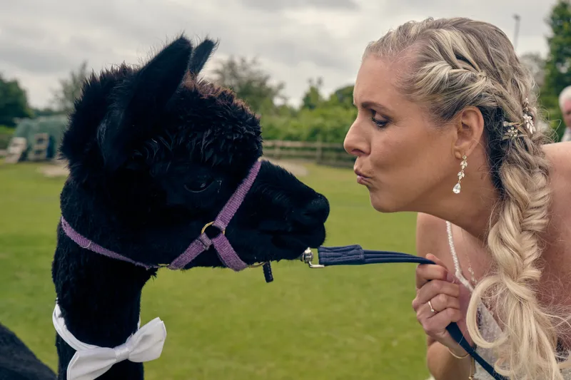 Tamara geeft een zwarte alpaca een kus