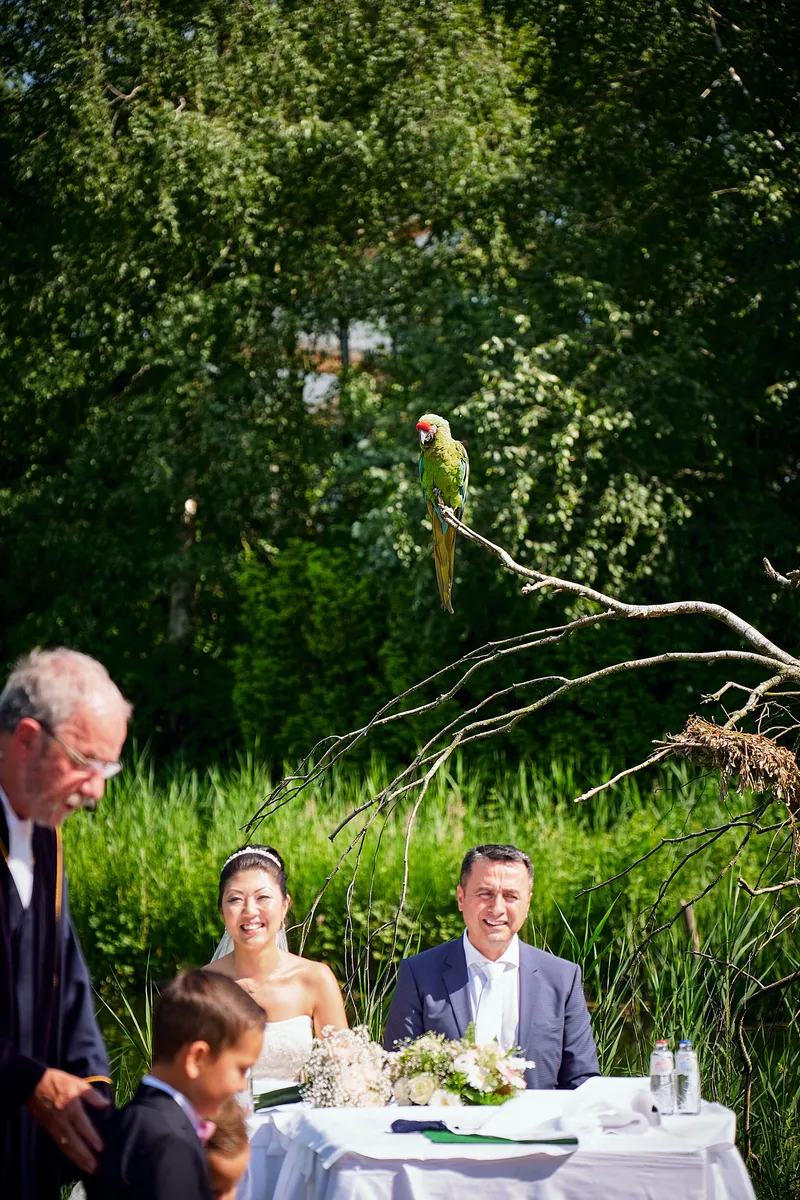 Een papegaai op een tak boven het bruidspaar aan de ceremonietafel