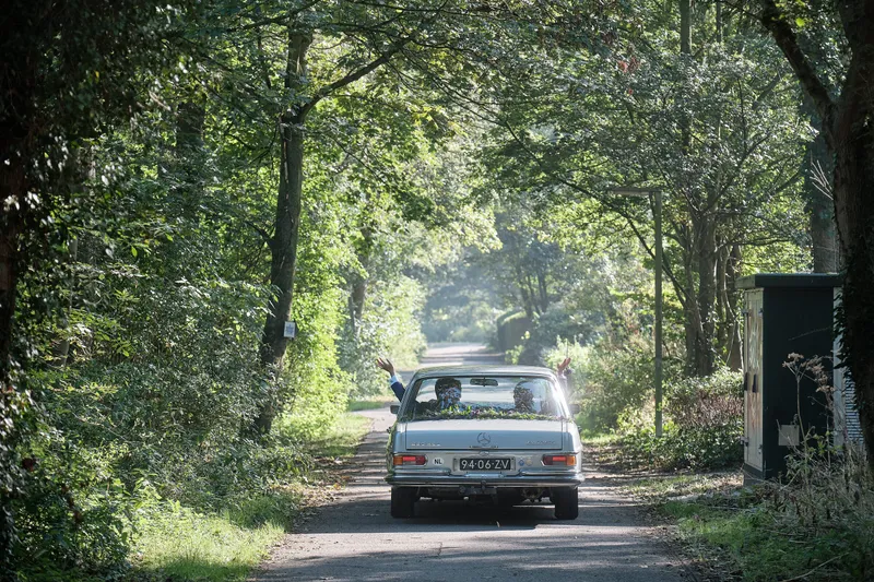 De witte trouwauto rijdt over een bospad in de Delftse Hout