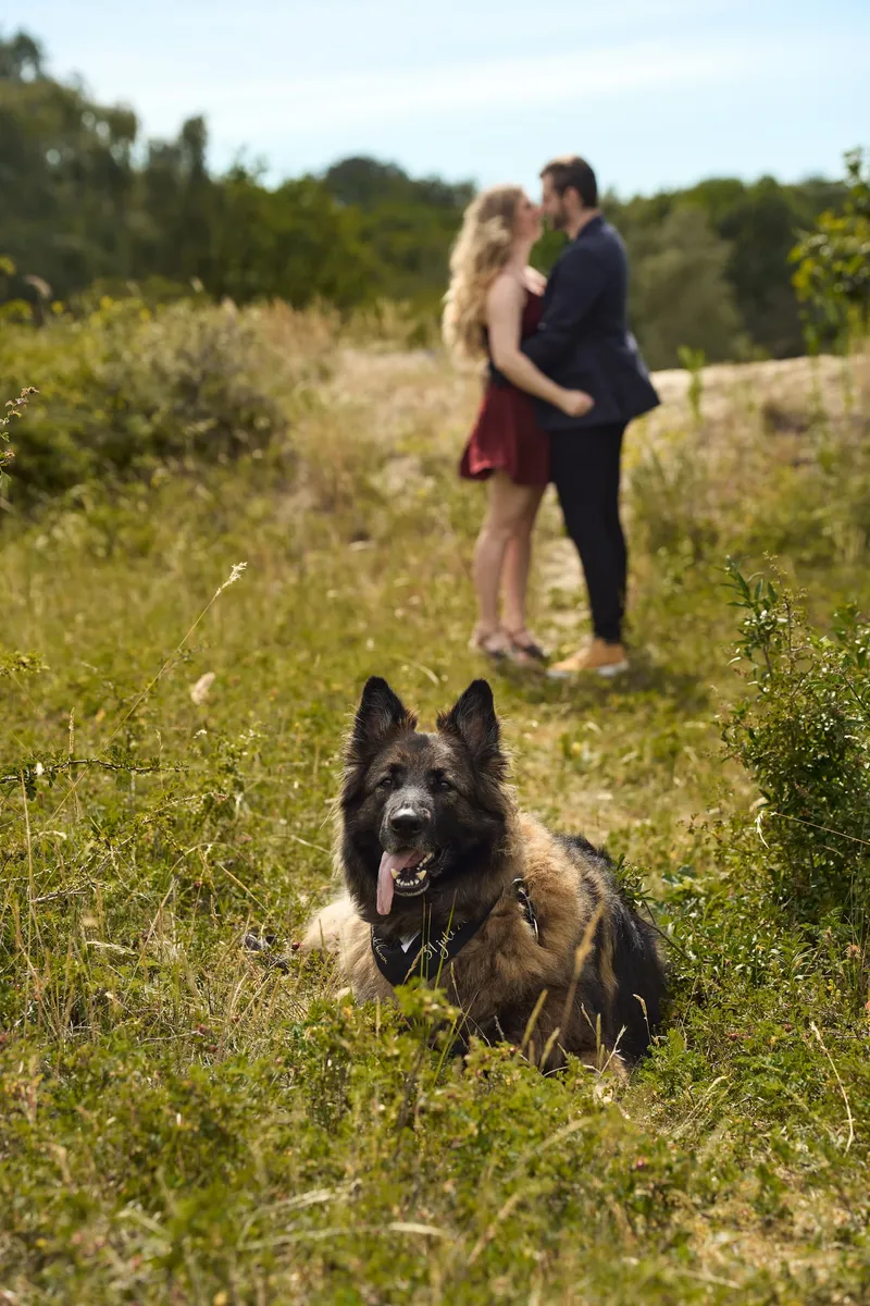 Een koppel staat in de duinen, hun herdershond ligt op de voorgrond