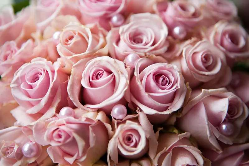Het bruidsboeket van roze rozen met parels