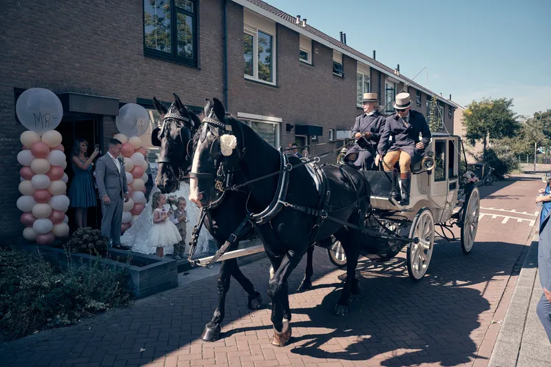 De koets met twee zwarte paarden in de straat