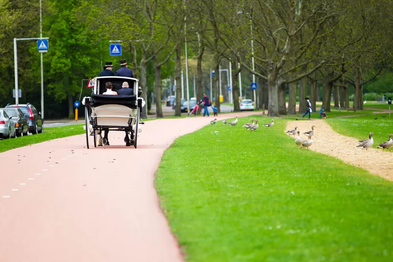 De koets met pony rijdt over een laan langs de Kralingse Plas