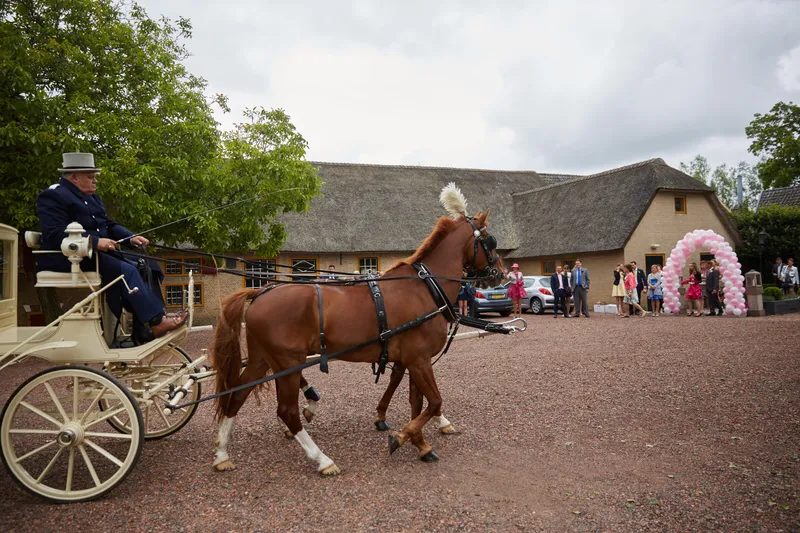Een koets met een paard voor de Lickebaertshoeve