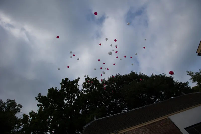 De ballonnen verdwijnen boven de bomen