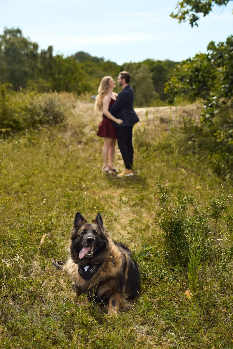 De herdershond zit vooraan in het gras, Dimitri en Kayleigh staan verderop