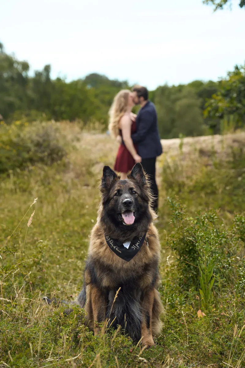 De herdershond zit in het hoge gras, Dimitri en Kayleigh omhelzen elkaar erachter