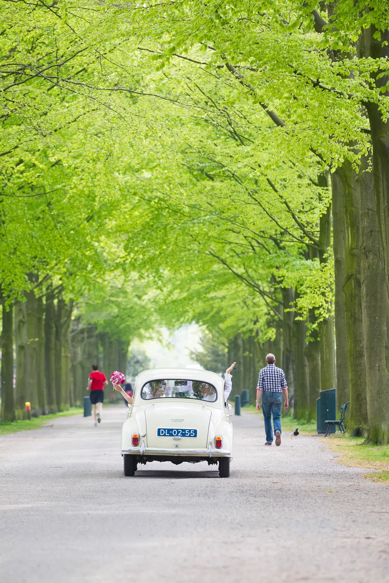 De witte Morris Minor in een lange laan met groene bomen