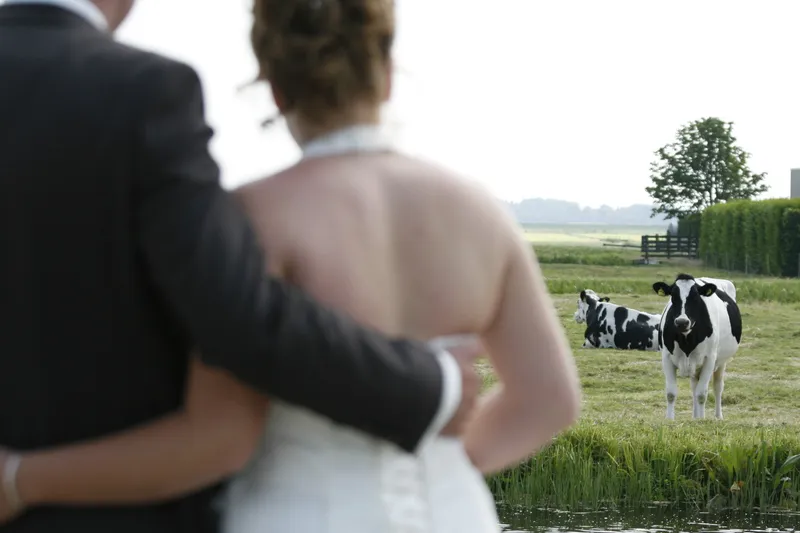Robert-Jan slaat zijn arm om Yvonne, de koeien in het weiland erachter