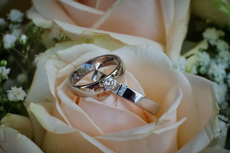 De ringen in een perzikkleurige roos