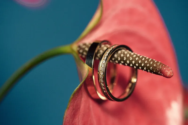 De ringen van Wijnand en Maddy op de stamper van een rode anthurium