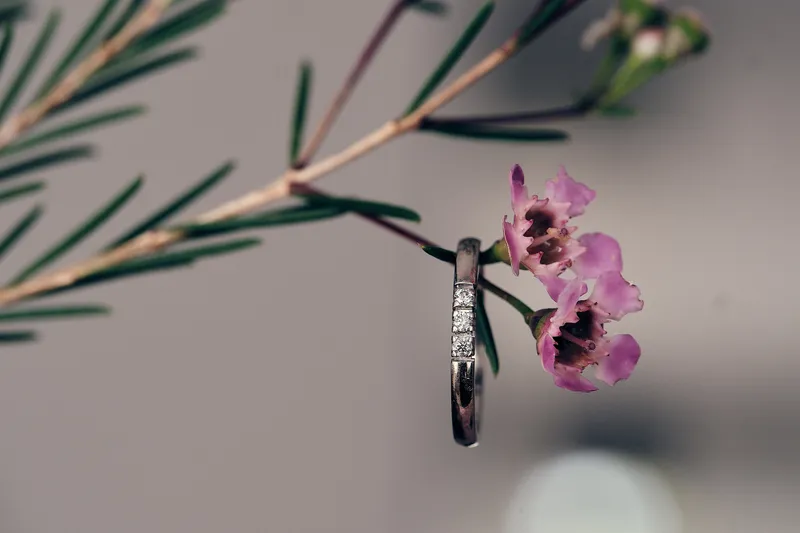 De ringen van Krijn en Evelien hangen aan een takje met roze bloesem
