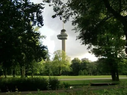 Scoutingfoto met de telefoon: de Euromast boven de bomen van het park