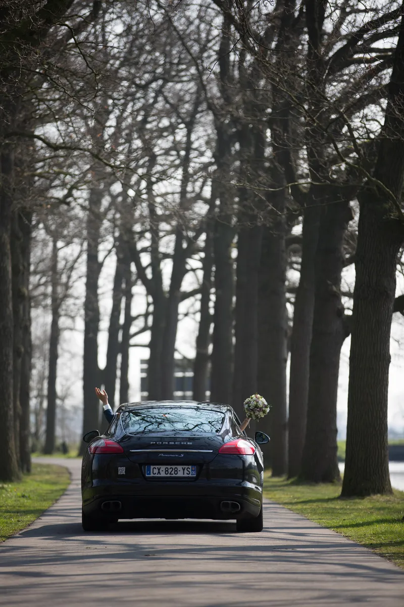 De blauwe sportwagen rijdt door de laan met hoge bomen