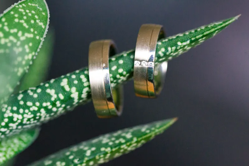 Twee trouwringen aan het gevlekte blad van een vetplant