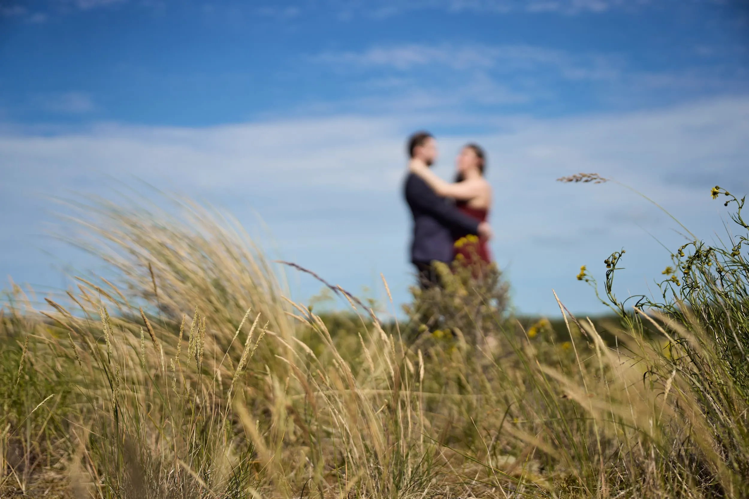 Bruidspaar omhelst elkaar in zomers landschap met wildgroeiende grassen, intieme loveshoot — Trouwshoot Stefan Segers