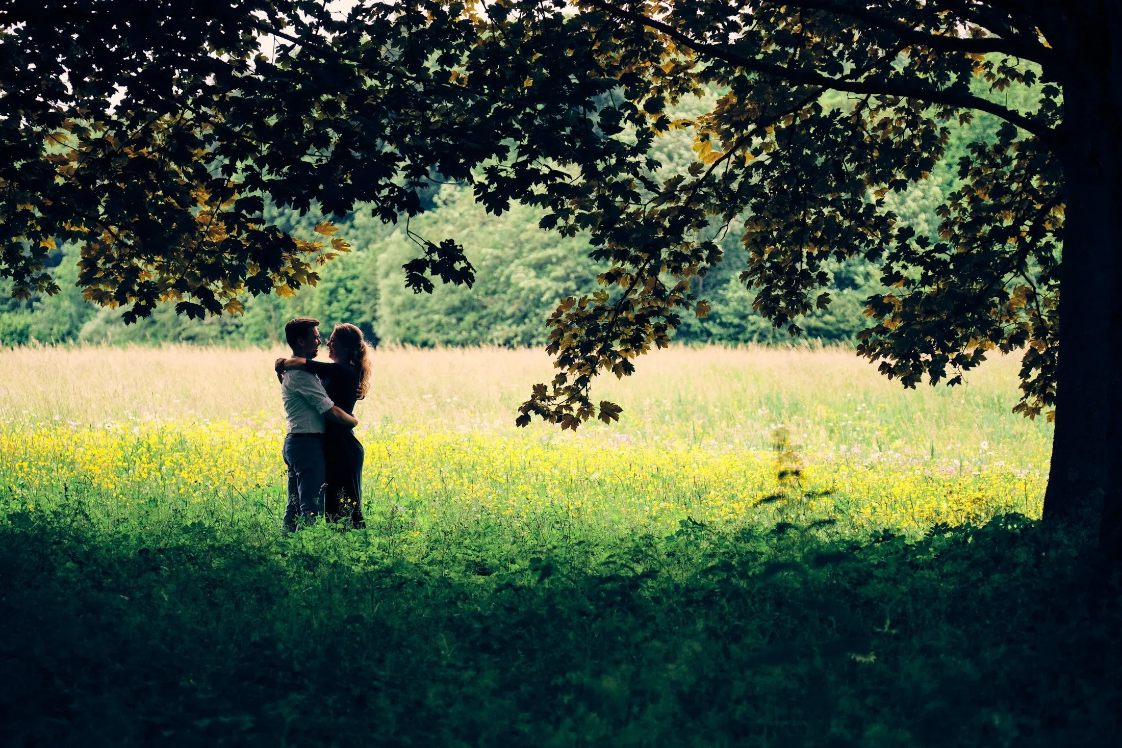 Twee mensen die elkaar omarmen in een groene veld onder een dikke boom met groene bladeren.