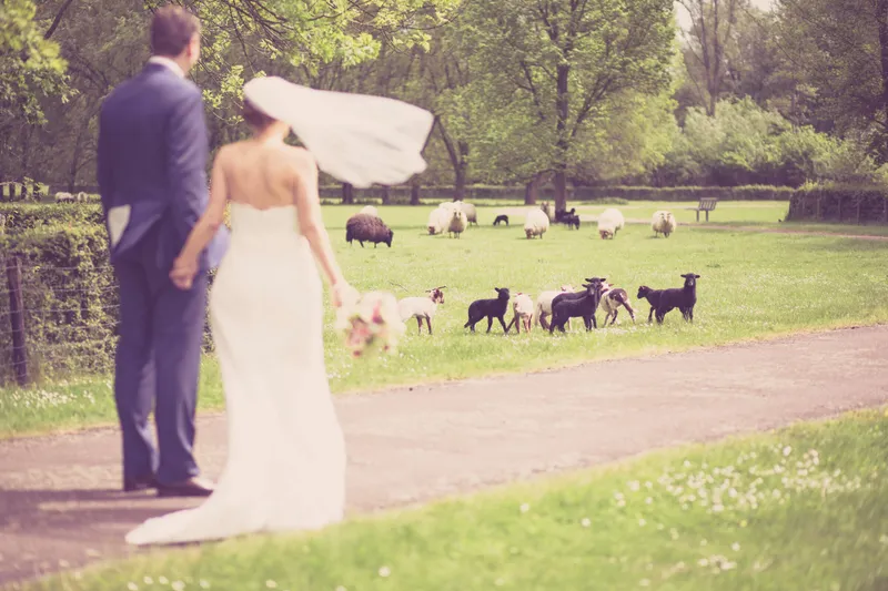 Liza en Stefan op het pad met de schapen in de wei